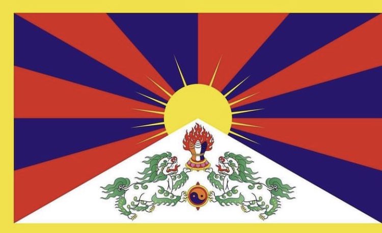 tenzin dadon tweet media