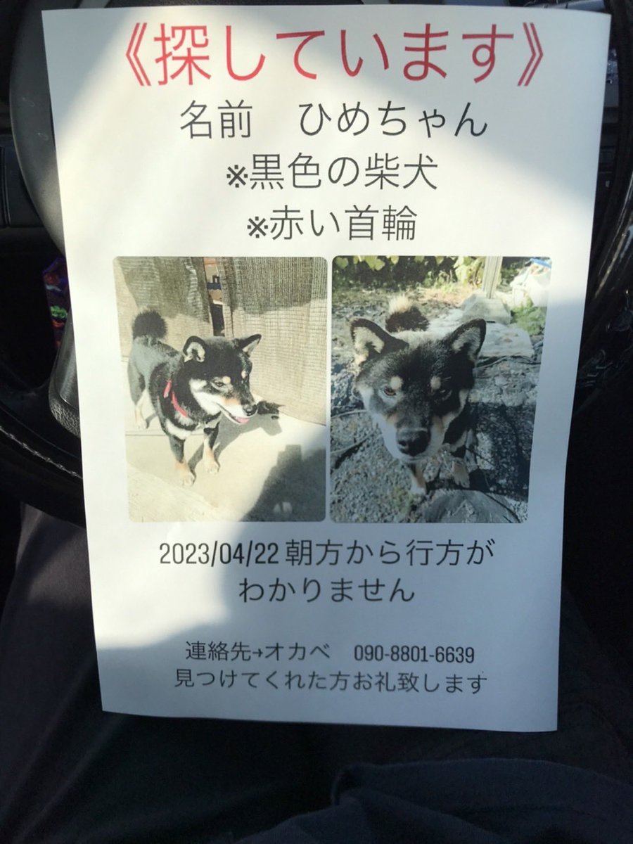 emi_h1215's tweet photo. 群馬県みどり市笠懸町阿佐美付近にて4月22日(土)の朝方から行方不明になっている赤い首輪が特徴の黒色の柴犬(ひめちゃん)を探しています。
見かけた方や保護された方は画像内の連絡先までご連絡をお願いします。

 #拡散希望RTご協力お願い致します 
#迷子犬
#迷子柴 https://t.co/LN3JfhMzXc