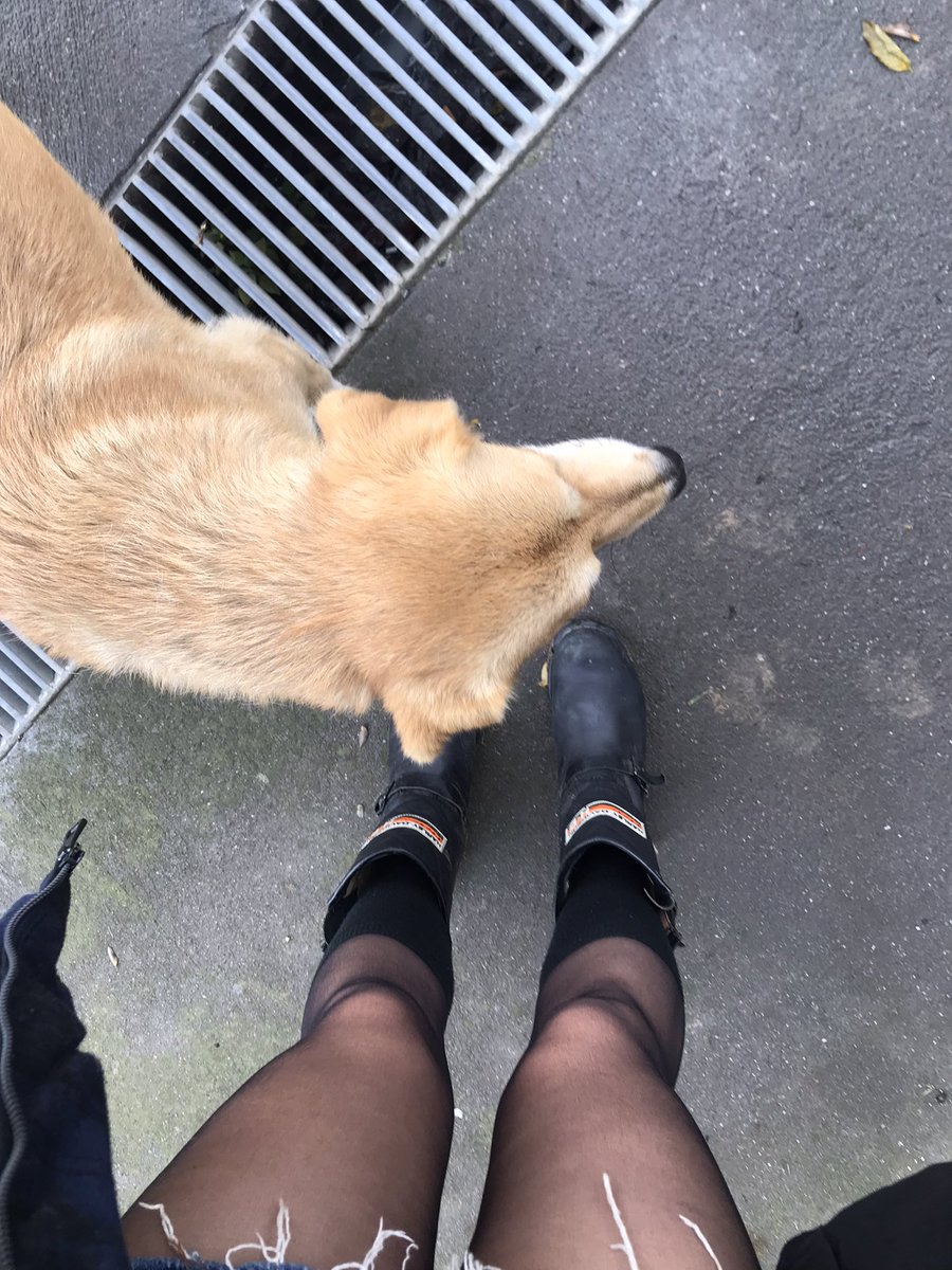 3.fotideki madalya altınn