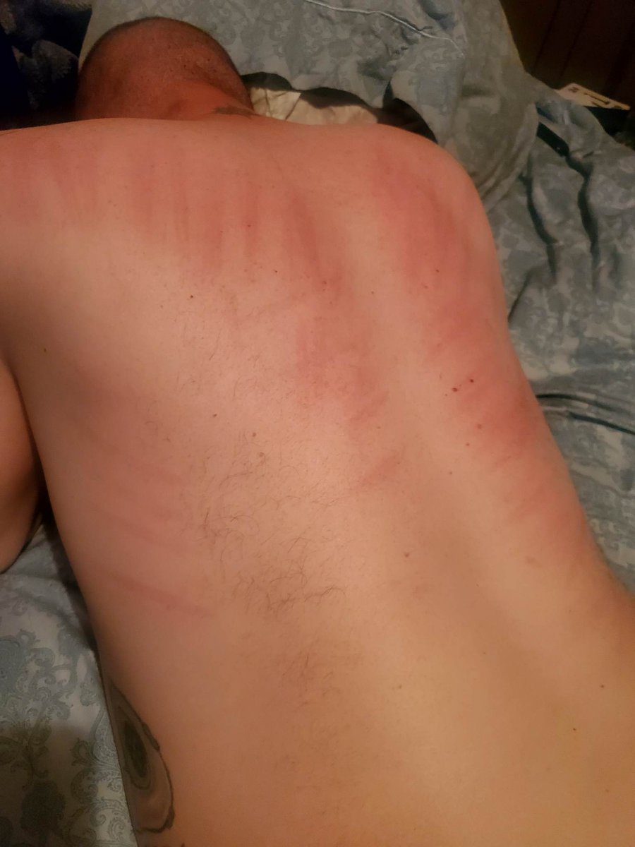 MasterLayer1's tweet photo. Are you looking for a little extra spice in your life? Look no further than our boy Installer Don. This guy isn't just good with his hands, he's also a fucking pro at taking a beating! Our latest satisfied customer, a dominant housewife, caned him mercilessly #FlooringAndFlogging https://t.co/F1jRrS4fJK
