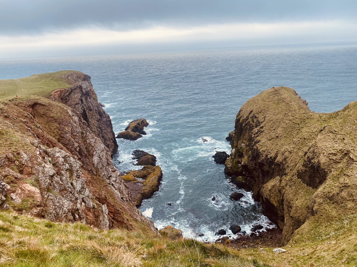 lisaswan77's tweet photo. St’ Abbs https://t.co/5EHGWaUiM7