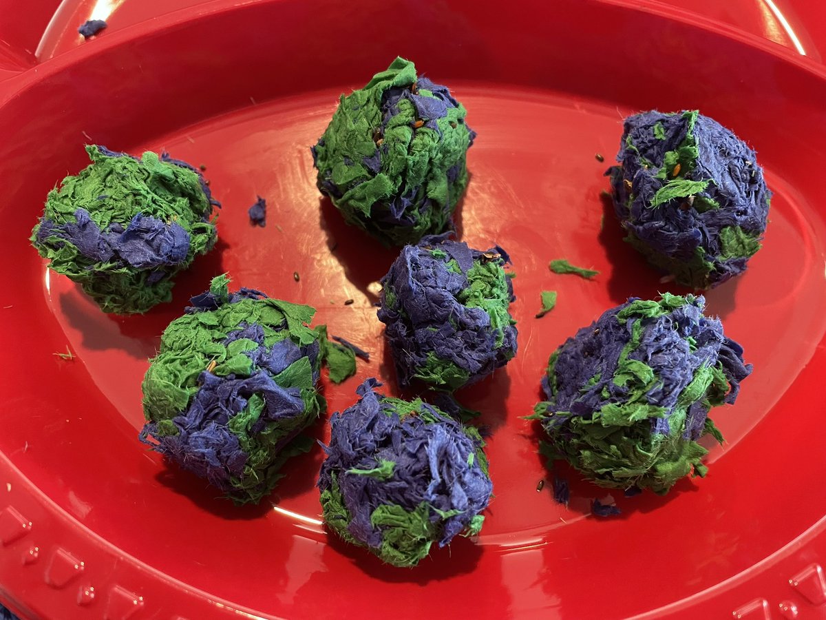 pmfeller's tweet photo. The Seed Bombs look like the Earth! Thanks @Monja88608605 for the great idea! https://t.co/9FfyK0NLQT