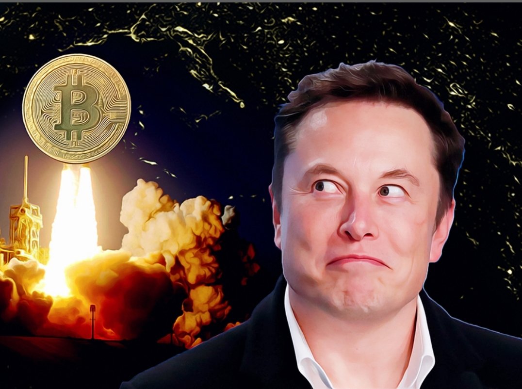 <a href="/elonmusk/">Elon Musk</a> 🚀🚀