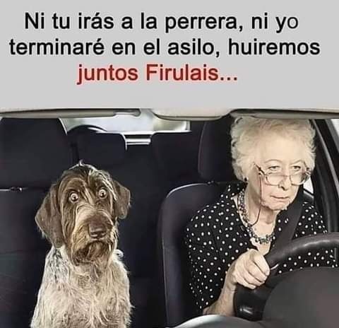rogeliomtz75's tweet photo. Bien dicho... https://t.co/4uTYUoYGYx