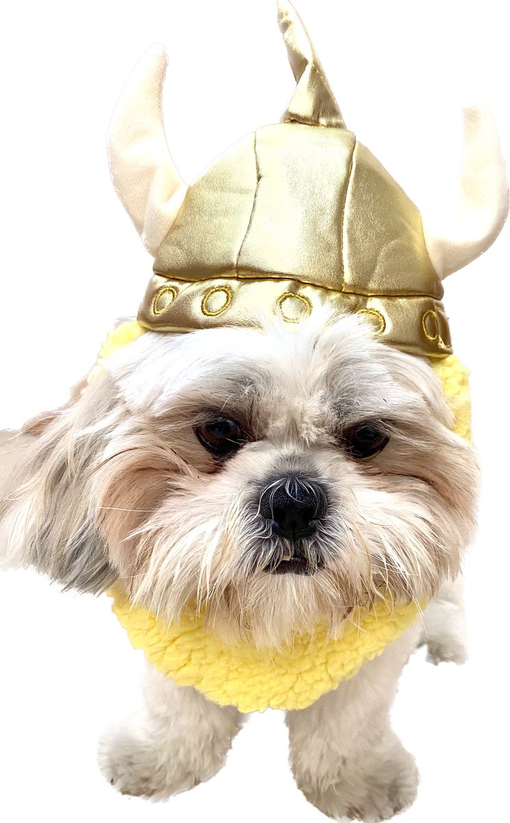 cecyabboud's tweet photo. @puckandrally Go Vikes! https://t.co/cmVBjvkZ2O
