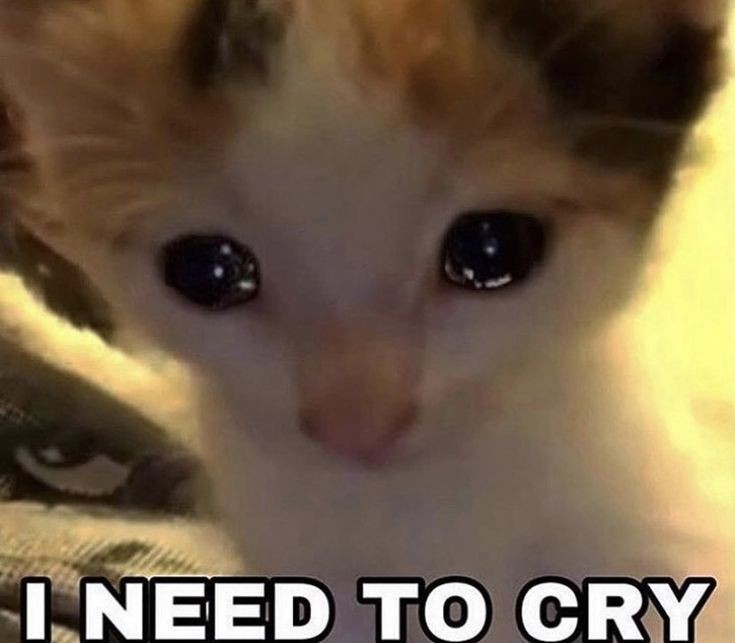 Victoria Ryann 🥀🔪 tweet media