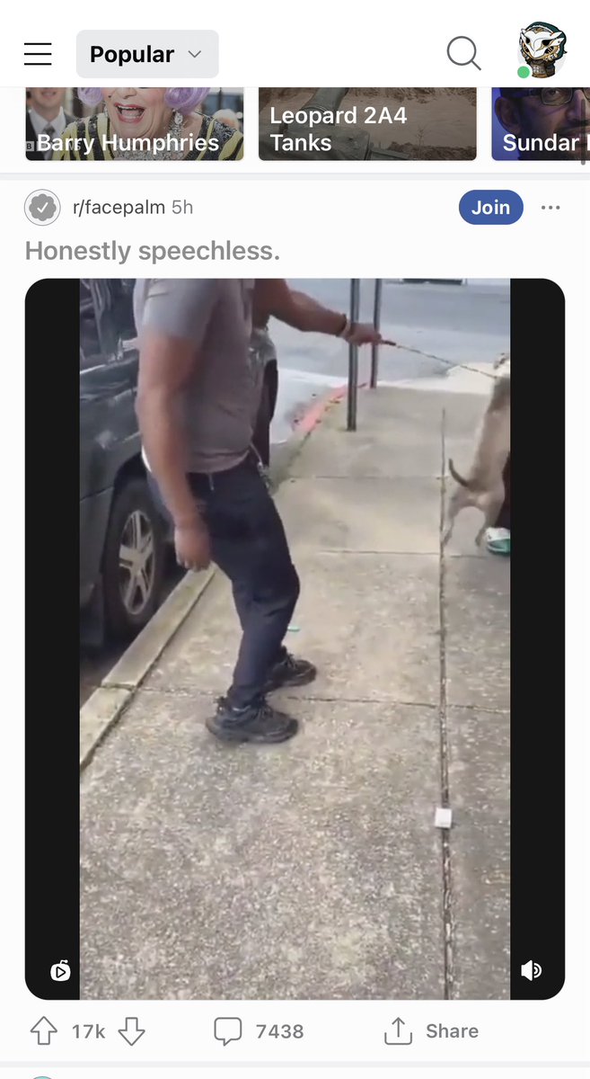tomtakes's tweet photo. @HeraldMailNews A trending video on Reddit shows a man being assaulted by a pit bull in your community. https://t.co/i3BXeY4j6u