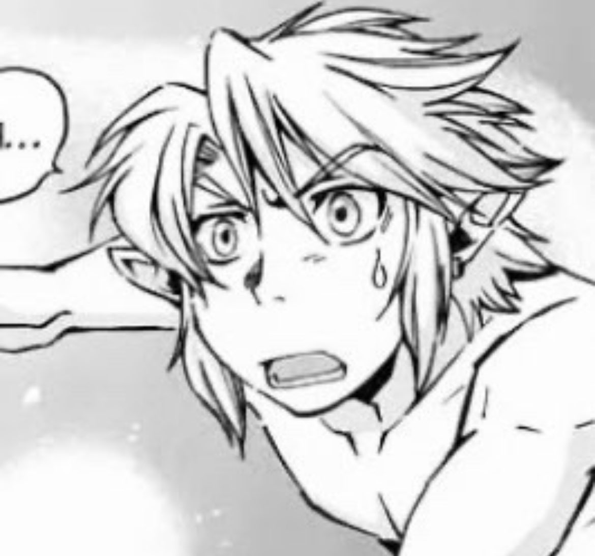 dailyZeldaManga's tweet photo. twilight princess Link mood board https://t.co/nmXtY67QBl