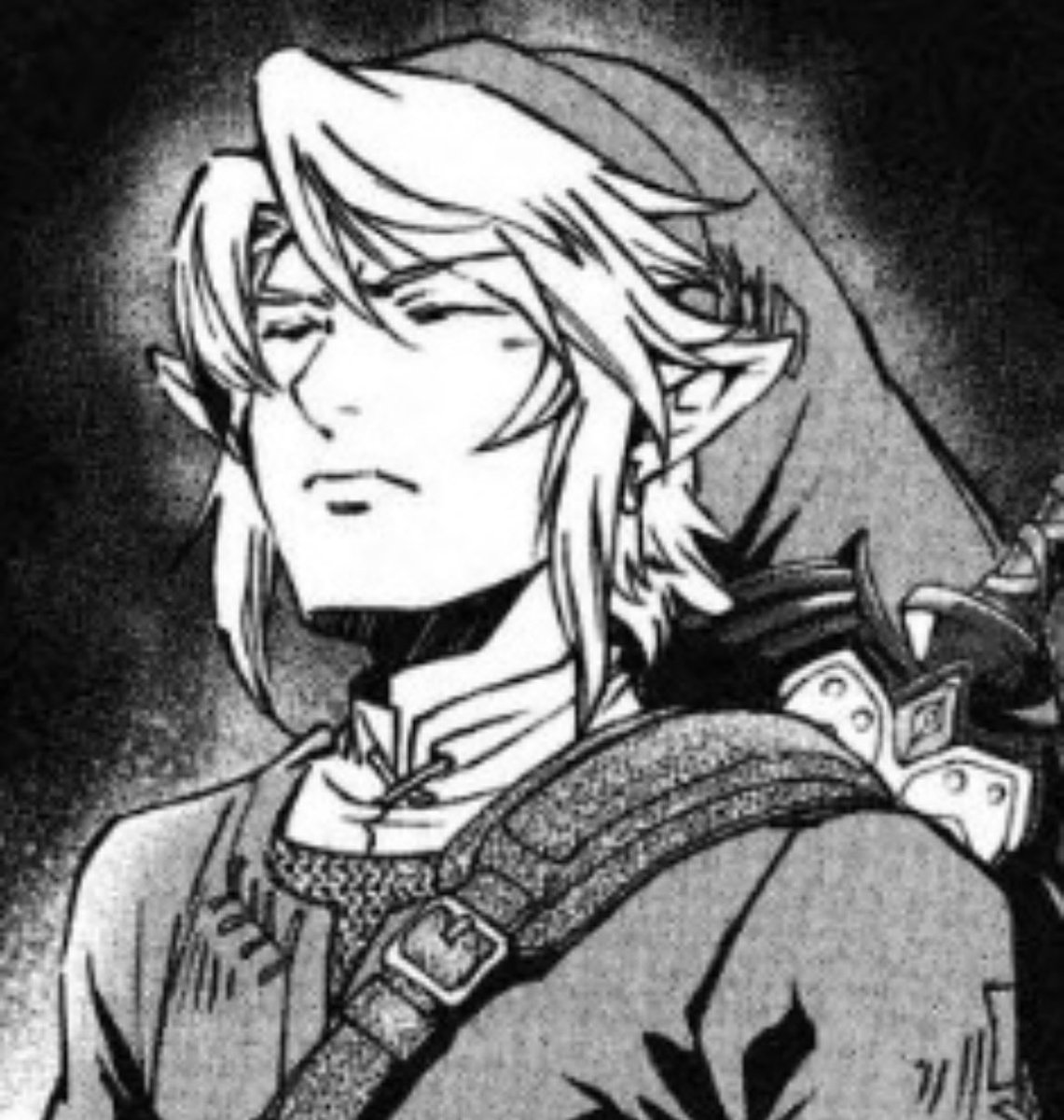 dailyZeldaManga's tweet photo. twilight princess Link mood board https://t.co/nmXtY67QBl