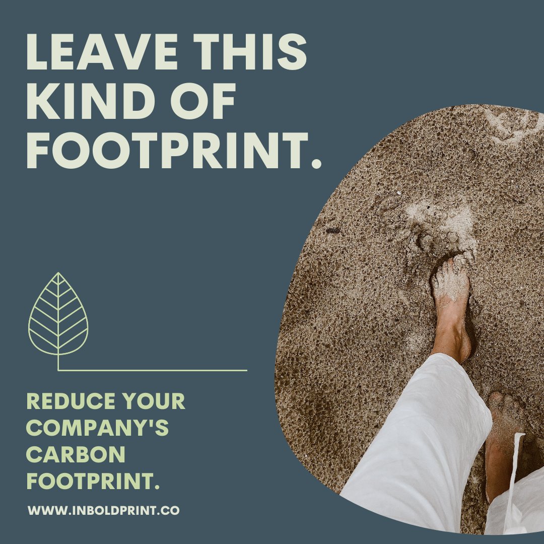 IN BOLD PRINT. tweet media