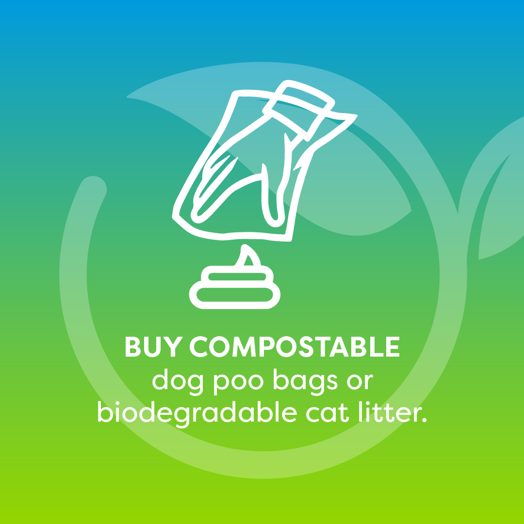 getwagz's tweet photo. #HappyEarthDay! Wondering how you can be a more eco-friendly pet parent? We got you 👉 https://t.co/n7fM1Z37xi