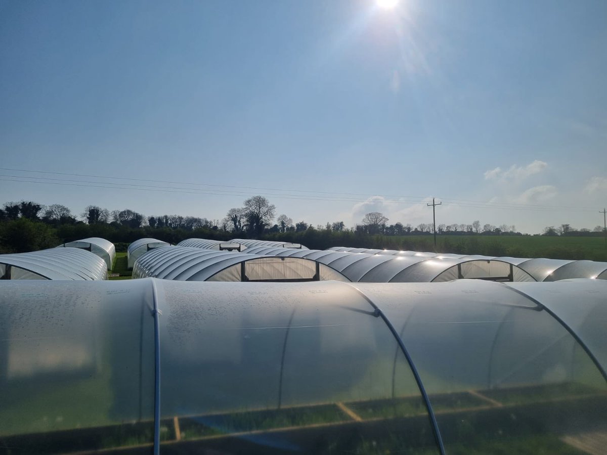 greenheart_cbd's tweet photo. The development of our innovation center in Ireland.
Will this be our next staking pool? 💚
#greenheart #hemp #CBDeFi https://t.co/E2Twc65mZt