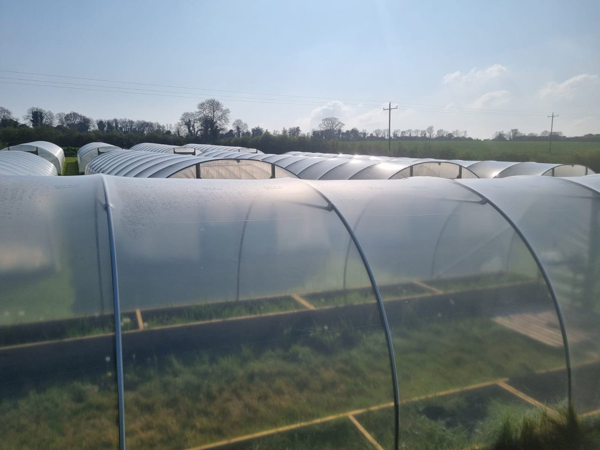 greenheart_cbd's tweet photo. The development of our innovation center in Ireland.
Will this be our next staking pool? 💚
#greenheart #hemp #CBDeFi https://t.co/E2Twc65mZt