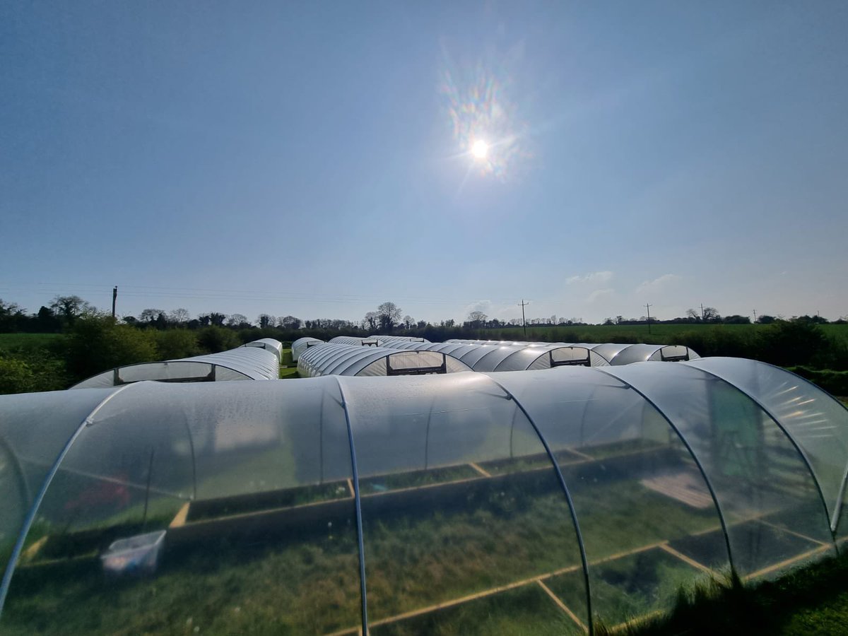 greenheart_cbd's tweet photo. The development of our innovation center in Ireland.
Will this be our next staking pool? 💚
#greenheart #hemp #CBDeFi https://t.co/E2Twc65mZt