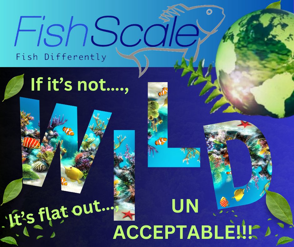 The 🌎 is crying right now because your not at FishScale 😢. Save the Earth and eat Blue Catfish. Which is served in different dishes here at FishScale. 
#EarthDay2023 #FishScaledc #bluecatfish #food #fish