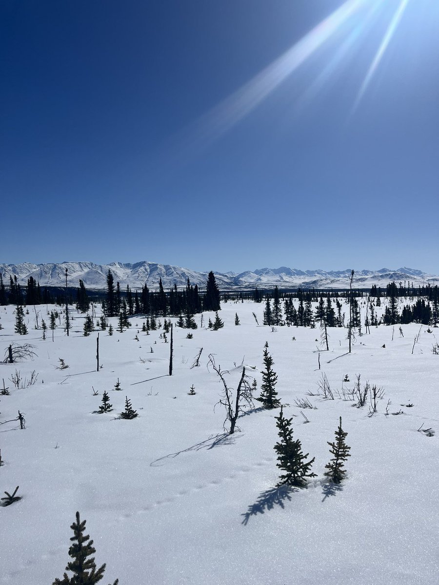 FittsAlly's tweet photo. Thatโs a wrap on a successful week in Fairbanks, AK supporting the 2023 NASA SnowEx Snow Albedo campaign. Grateful for clear skies & a stellar field crew(+ new friends). To be continued! #snowhydrology #SnowEx #NASA_ABoVe https://t.co/z921ZCbzN8