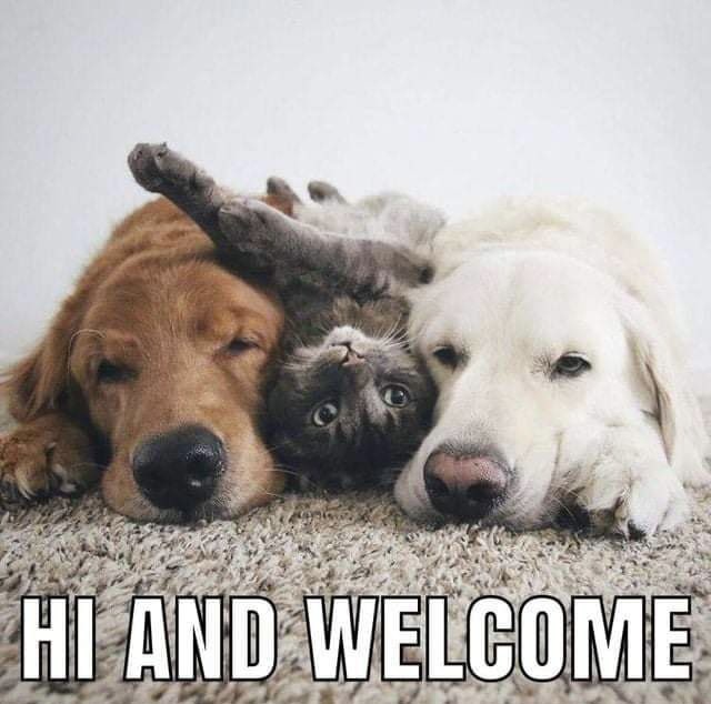 🐍 ean tweet media