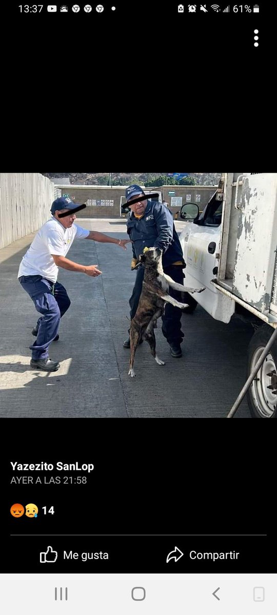 M1llonDe's tweet photo. #CierreTotal #CentroDeMuerteYTorturaAntirrabicoAragon @cetramcdmx MANDO ASESINAR A GÜERA Y DOS LOMITOS MÁS, sin presupuesto y barbitúricos COMO LA ASESINARON? @1pantonio @JUSTICIANIMA @GLORIABERNARDI1 @nydiacervera @UribeMerle @AztecaNoticias #NoVotesPorPoliticosProMuerte https://t.co/Z4w5bE8xXB