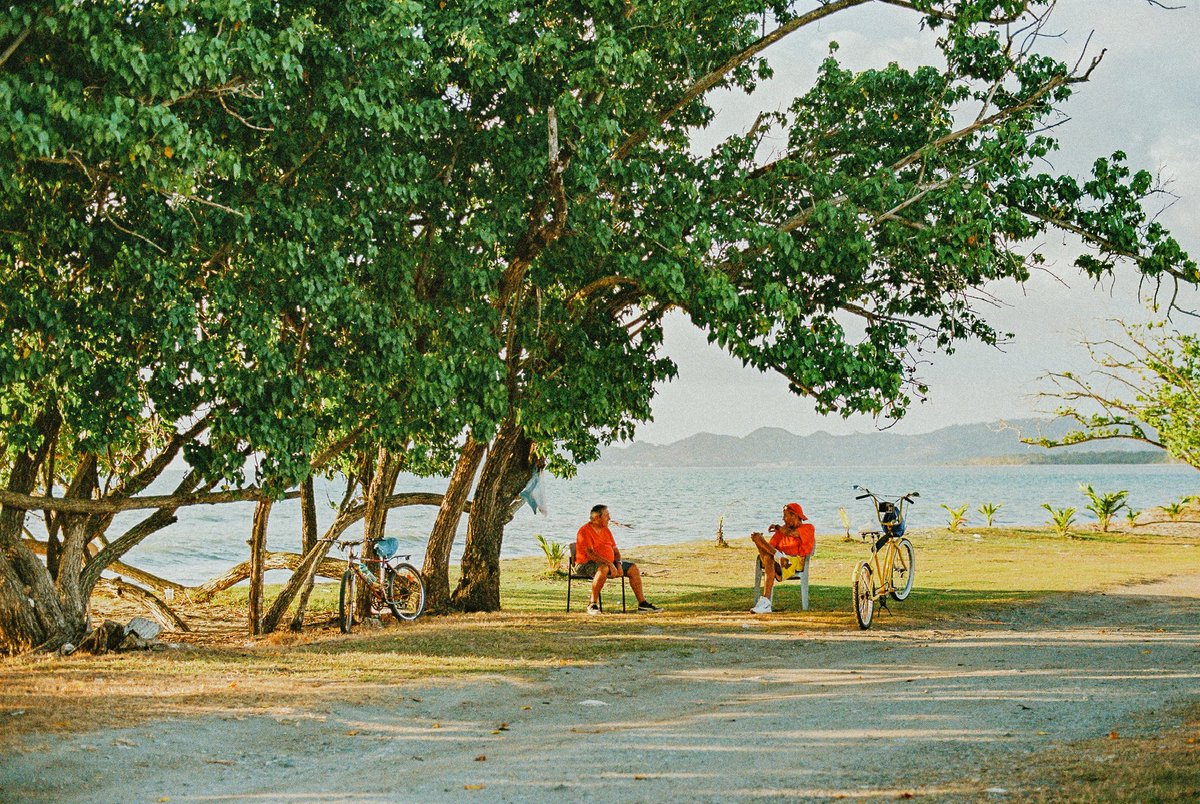 noelrrobles's tweet photo. happy earth day from the best place in the world 🌎🇵🇷
.
shot on #nikonf3 mixed with @Kodak potra 400 and ultramax 400 https://t.co/cJuu80QKSt