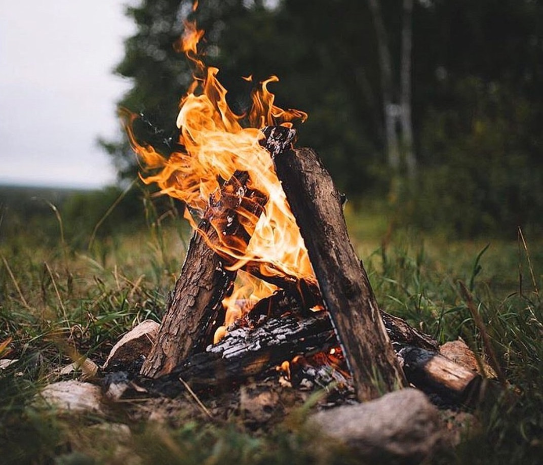"إذا أراد الله شيئاً تعطلت قوانين الطبيعة تمهيدًا لحدوثه..
فحينئذٍ النار لا تُحرق، والبحر لا يُغرق، والجبل لا يَعصِم، والحوت لا يهضم..
فلا تظُننَّ بقدرة الله على تدبير أمرك اليسير إلا كل خير" (م)

#جماليات 
#مساء_الخير
