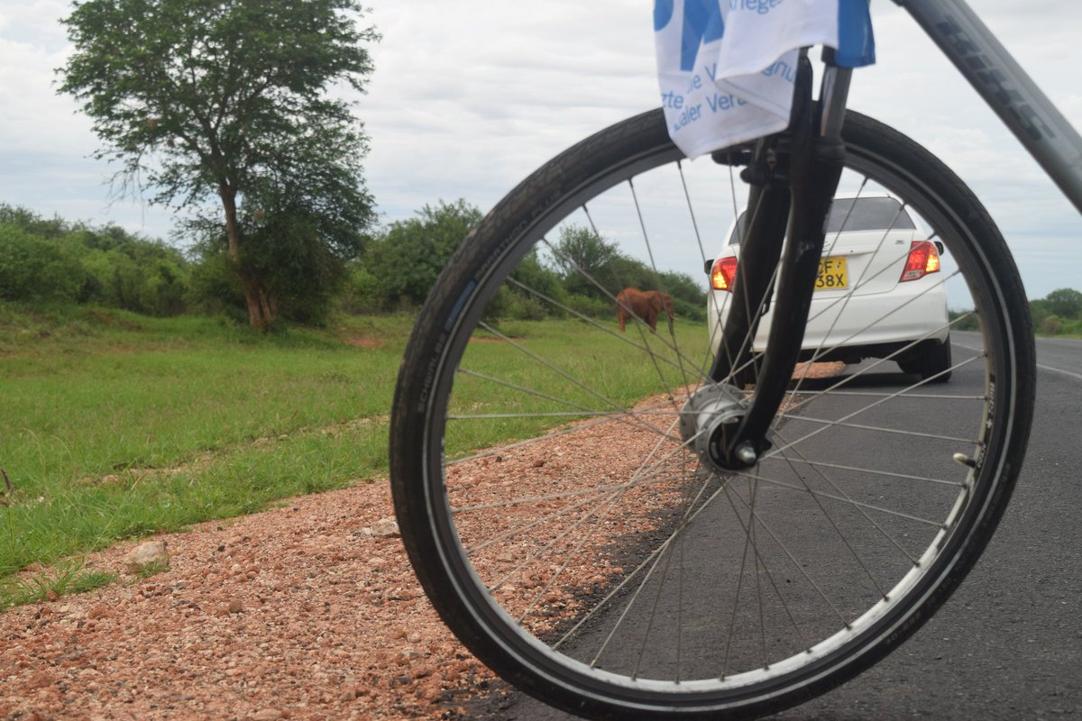 drbimalkhadka's tweet photo. Day 3: IPPNW Biketour Kenya 2023.
#MtitoAndei to #Voi #Kenya (109 km)
3rd day bike ride was most memorable so far in our bikeride.
#ippnwbiketour2023
#bikeforban
#healththroughpeace
#ippnwkenyacongress
#ippnwkenyacongress2023
#breakthechain
#disarmament
#climatecrisis https://t.co/HSBfhtX75p
