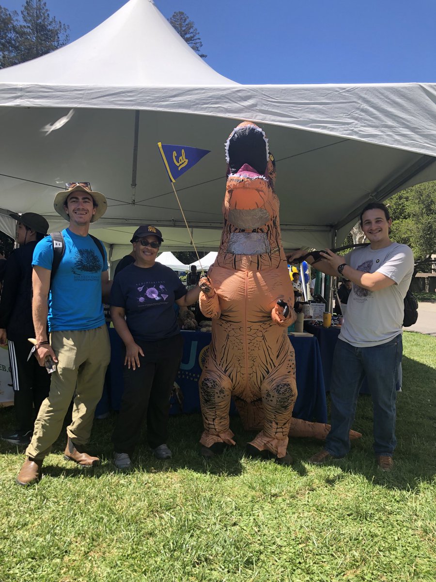 ucmpberkeley's tweet photo. T. rex made an appearance at #CalDay 🦖 https://t.co/DKsr2iswfU