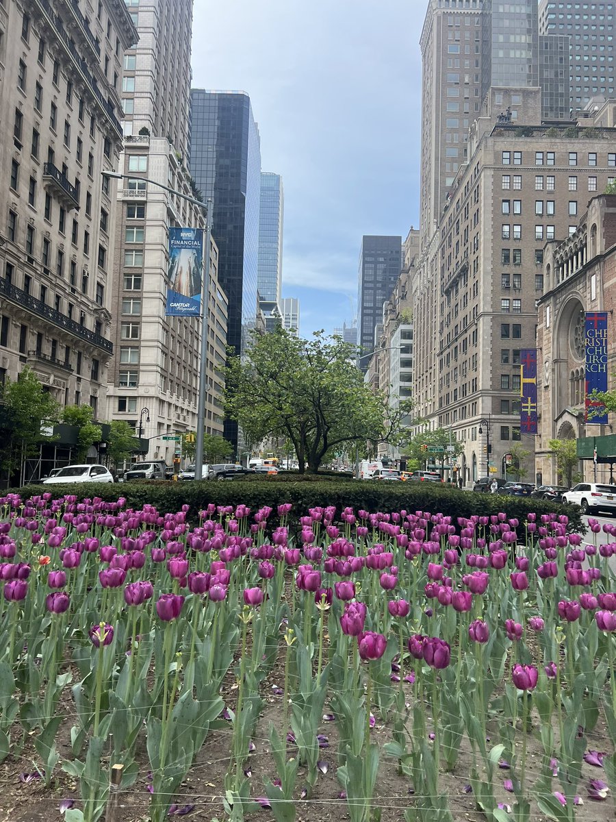 Taking the streets back. 🏃🏻‍♀️ happy earth day!