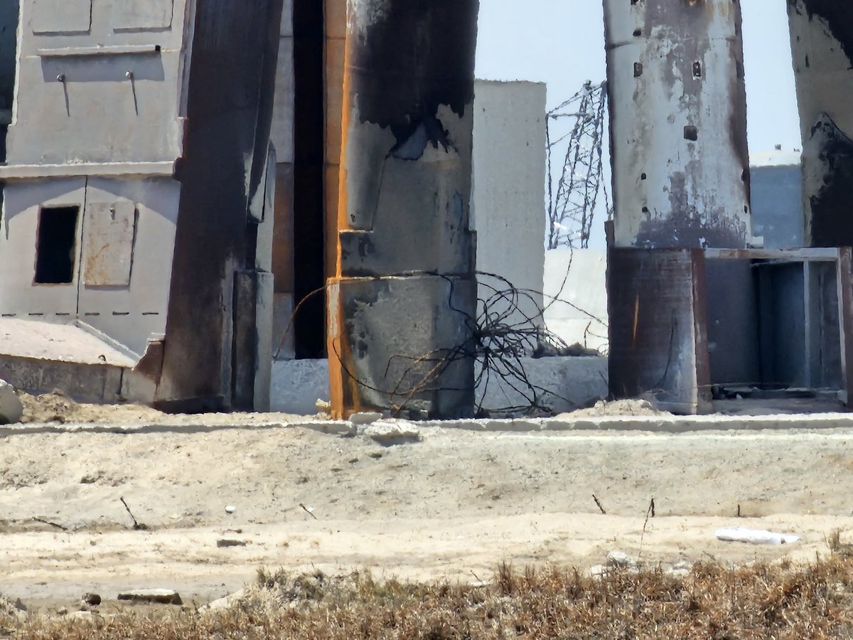 Starship Gazer tweet media