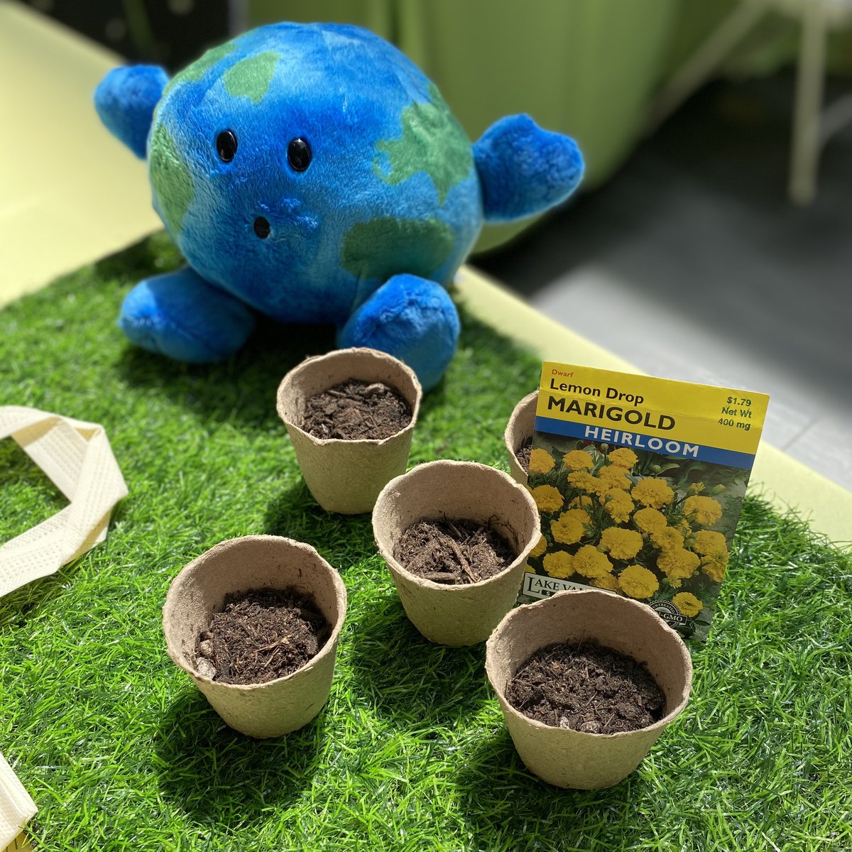 Earth Day event today from 12-2pm in Center Court!  Decorate a tote bag, plant a seed, dig for fossils and more with Fresno State Environmental Sciences!  Plus, pledge to always use a reusable bag and receive a FREE collapsible tote and a $10 game card for <a href="/XLanesFEC/">Xlanes FEC</a>!