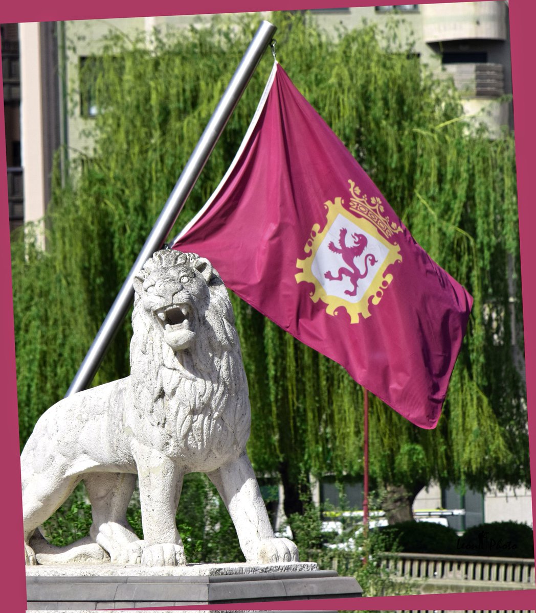 LEONPHOTOSTREET's tweet photo. . ¡Viva León! #leonesp #leonespaña #leonmola https://t.co/zpIhOjn2Ex