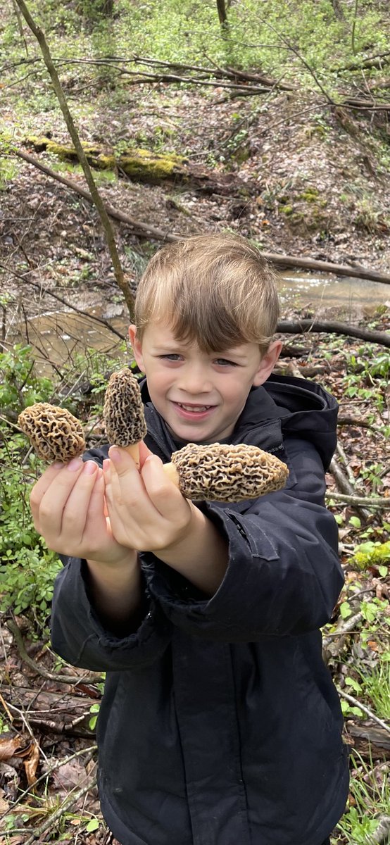 Today’s lesson: dendrology and mycorrhizal relationships. Fletch did well, but lost 7-12 to Daddy.