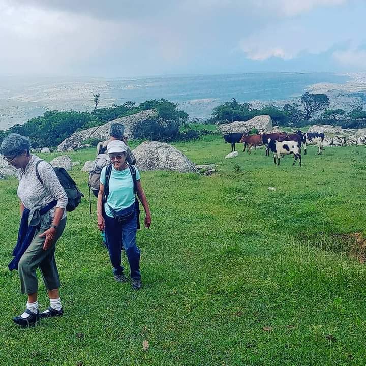 Aa702Ali's tweet photo. Chance to join us for a walk in the clouds? The view from this mist- View hilltop at Higher Mountain in Socotra island, overlooking the green woods and the is simply breathtaking.
https://t.co/meLzGab303 https://t.co/U1BlLzSHcx