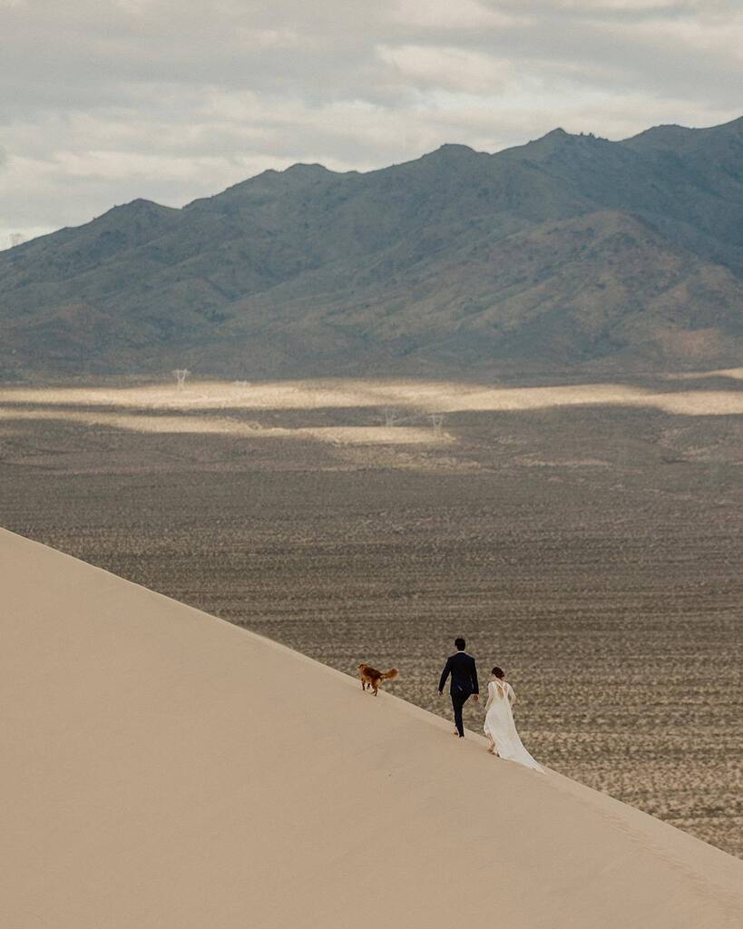 cedarandpines's tweet photo. earth day — how to put an appreciation that is spiritual and all encompassing into words?

through our work we’ve had the privilege of exploring the far remote reaches of the world, capturing concepts as mysterious as love, with people whose understandin… https://t.co/H1cvgZgYgb https://t.co/QOaXCeKFoW