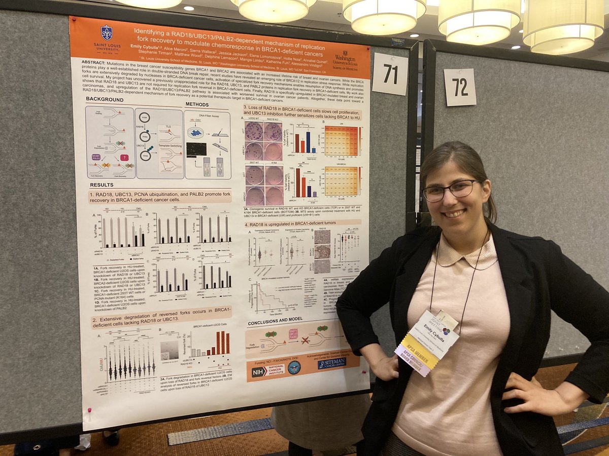 Stella Hoft tweet media