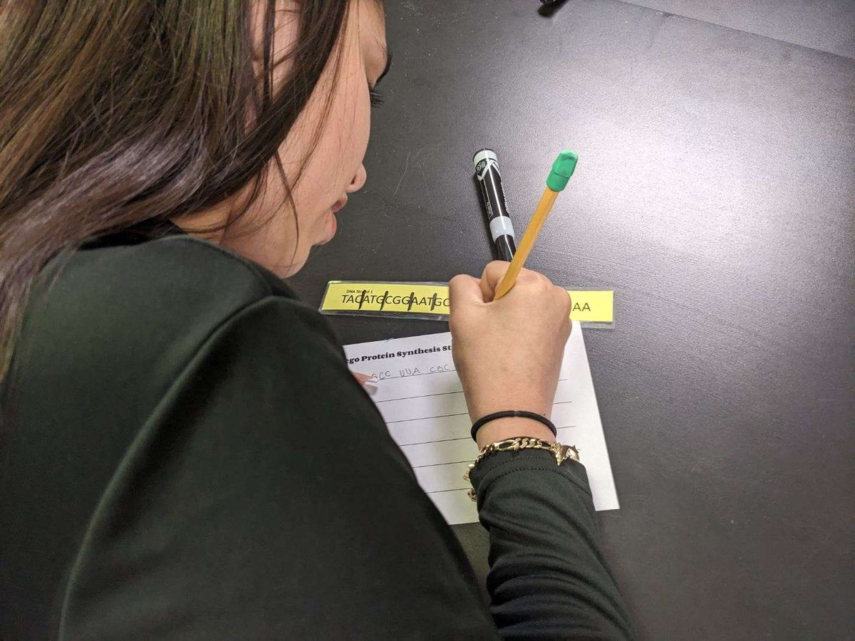 SMHSBio's tweet photo. @SMHS_SMCISD Biology EOC Olympics Event 3: Protein Synthesis Relay!  #DontDoubtUs #Keys2SMHS @SRattlerscience https://t.co/jRPkX41LEL