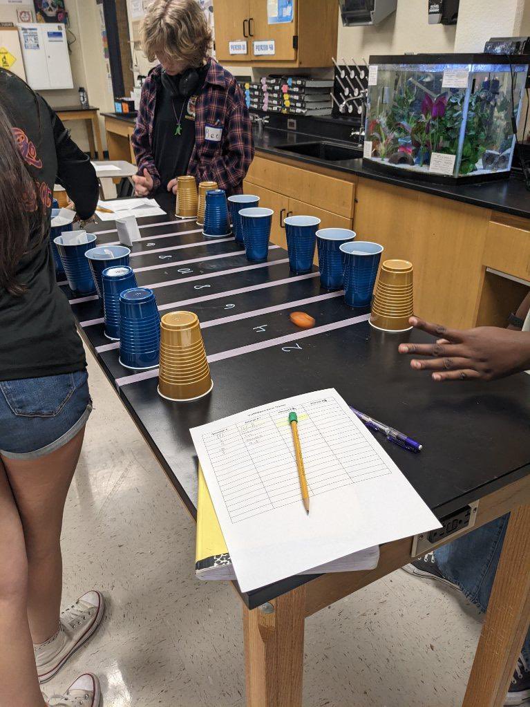SMHSBio's tweet photo. @SMHS_SMCISD Biology EOC Olympics Event 4: ShuffleBoard!  #DontDoubtUs #Keys2SMHS @SRattlerscience https://t.co/AKvDS0YZmb
