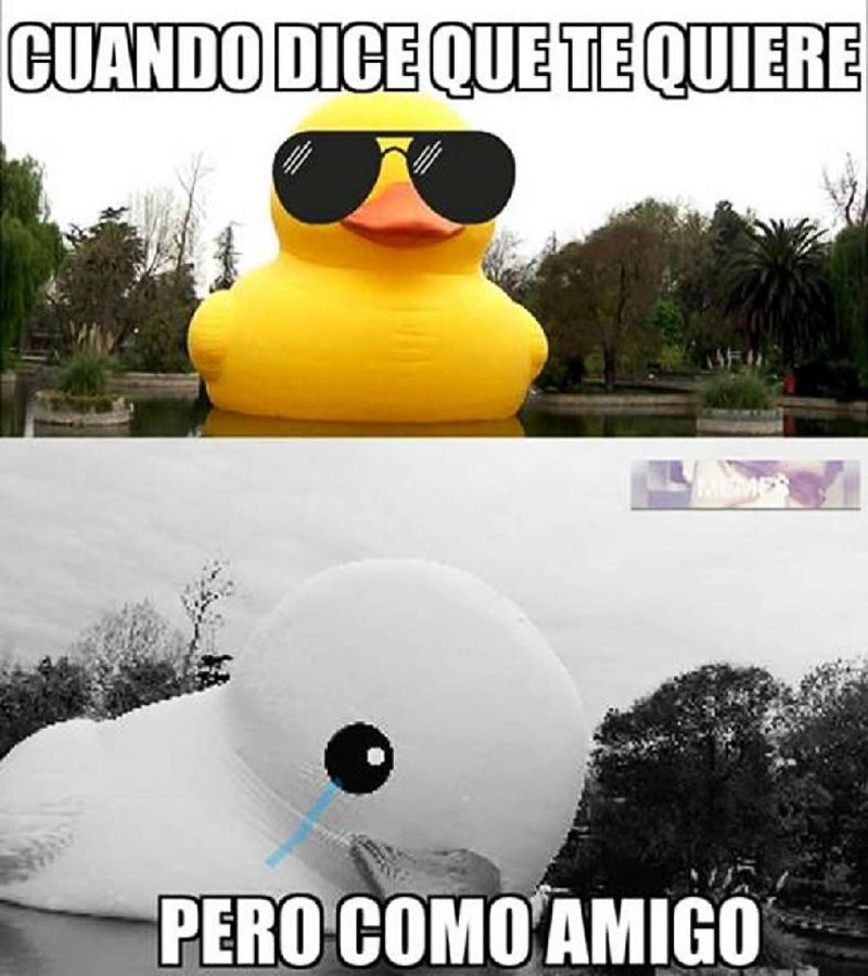 Que esta haciendo el SrtPato En este momento 

<a href="/SrtaLyna/">Lynita ✨ lvs dani</a>