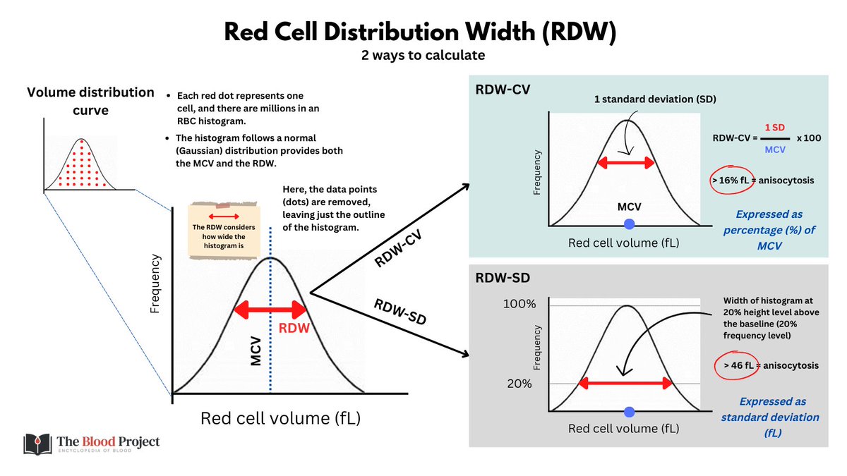 1/12 CASE QUESTION: Take a look at the CBC below and describe it in the ...