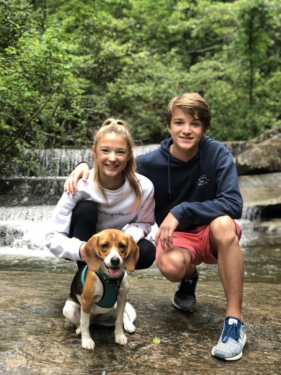 Happy #NationalBeagleDay