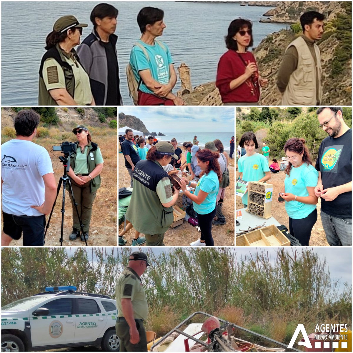 Agentes Medioambientales de Andalucía tweet media