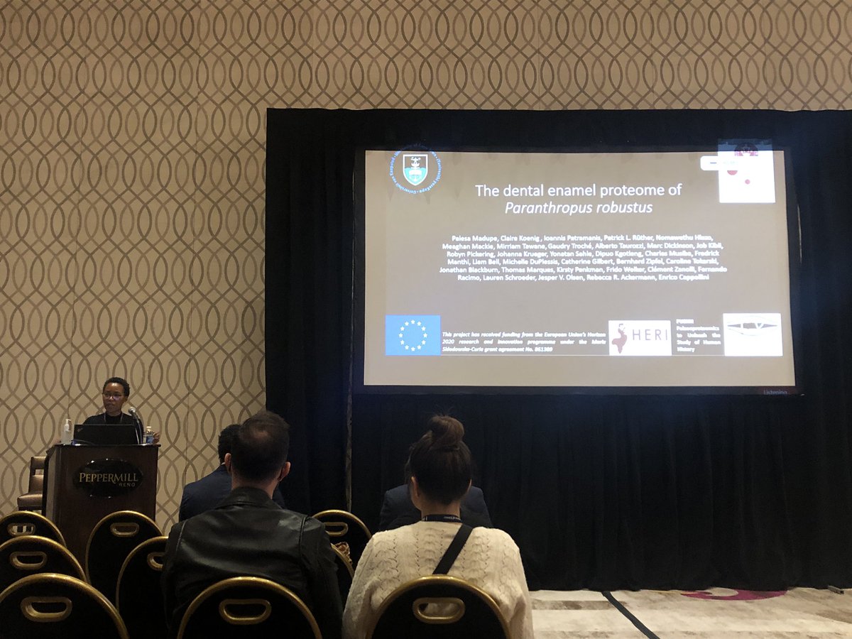 E_Cappellini's tweet photo. @PalaeoP just delivered a great presentation at #AABA23 Very well done! @PUSHH_ETN @MSCActions https://t.co/FA8ecRXtc6