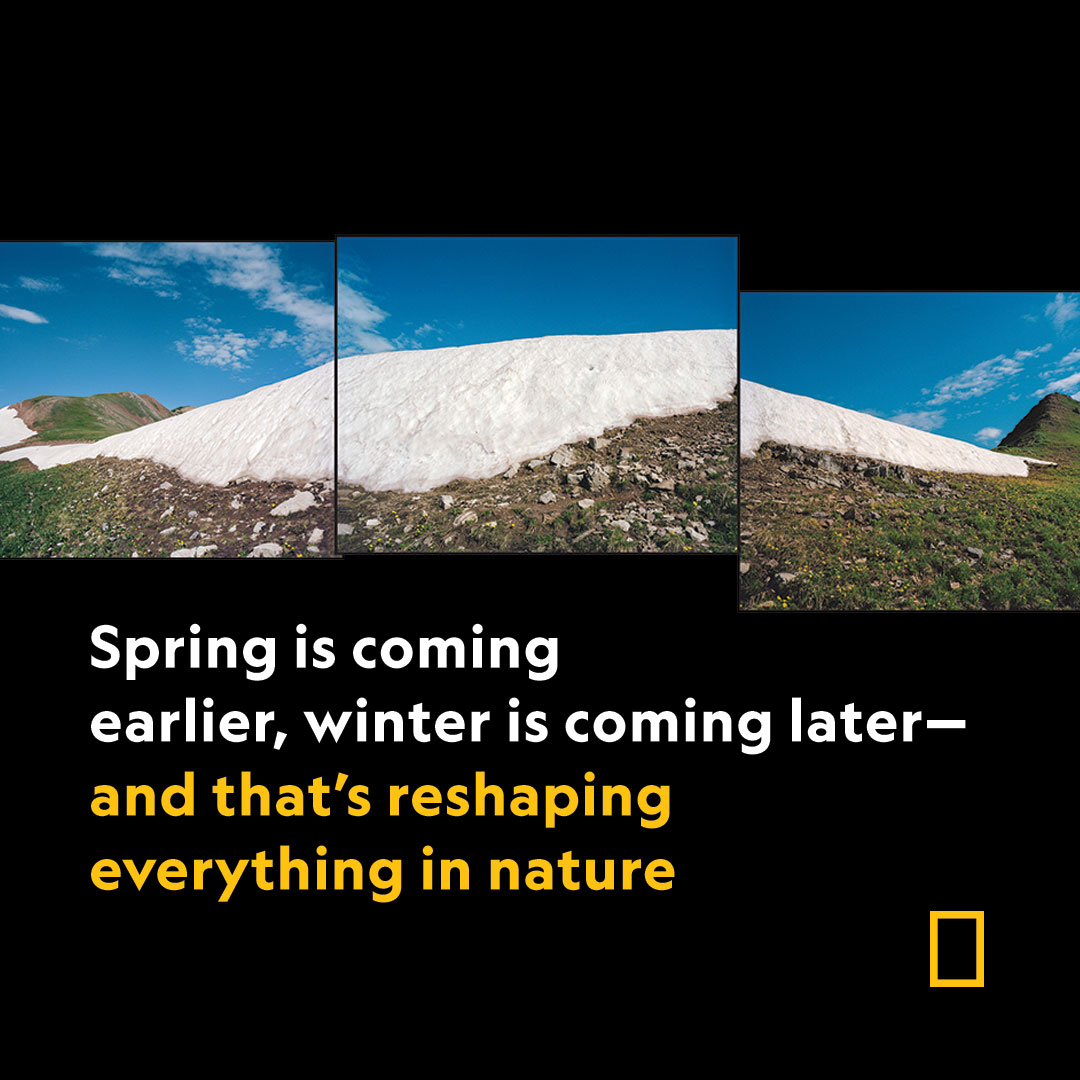 Timing is everything in nature. Now, climate change is recalibrating centuries of patterns honed by evolution—and it's reshaping life for almost everything on.natgeo.com/41QJq9e

#EarthDay