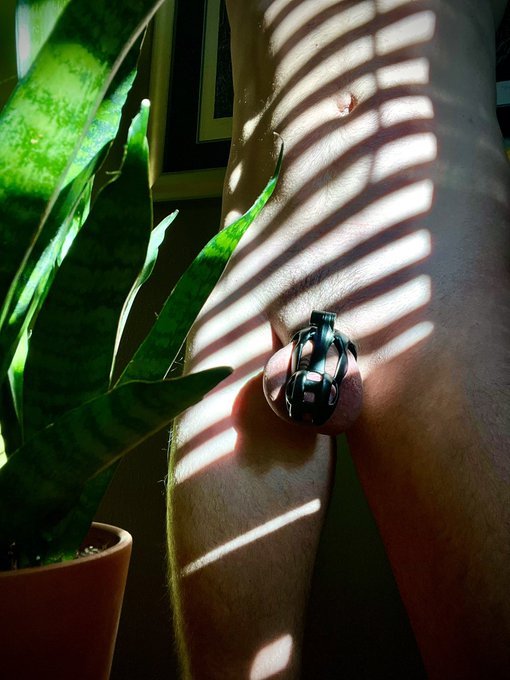 Don&rsquo;t forget to enjoy some plants on Earth Day! 🌎🌿🔐 https://t.co/ughTz4gqlJ<a href="/tag/femboy"class="tags"><span>#femboy</span></a>
