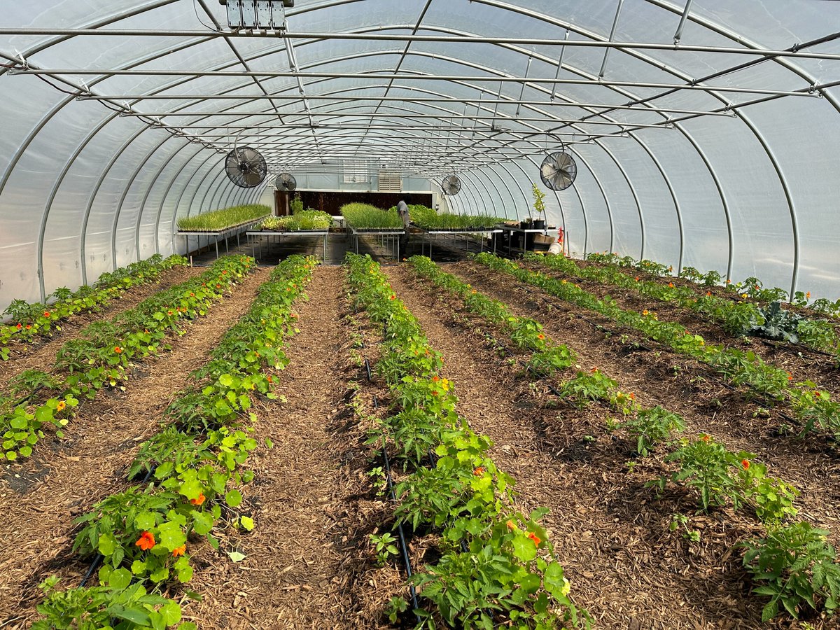 HelmsCollege's tweet photo. Happy Earth Day! Our students learn hands-on about the importance of working with the earth and fresh ingredients. Want to learn more about education and careers in the Culinary Arts? Reach out to us for more info: Augusta: 706-651-9707 Macon 478-471-4394 #EarthDay #gardening https://t.co/oKQEQCi37r