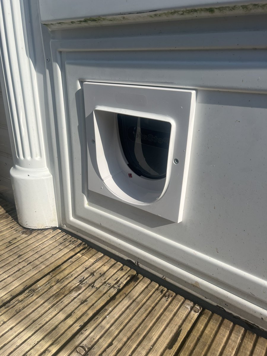 JohnLucas_9's tweet photo. After all that, I ended up installing a sodding cat flap! #ratemyinstall 🐈 https://t.co/jmjyolVB8u