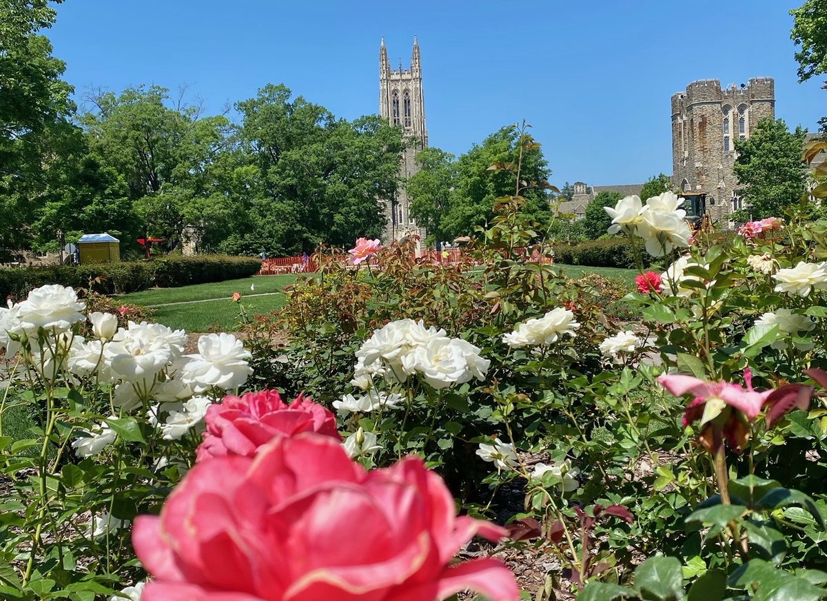 DukeUClimate's tweet photo. "Happy Earth Day, Blue Devils! Through the #DukeClimateCommitment, we're leveraging our extraordinary strengths in environmental research, education and public engagement to address climate change."
- Duke University President, Vincent Price https://t.co/jVAZ6qeWPP