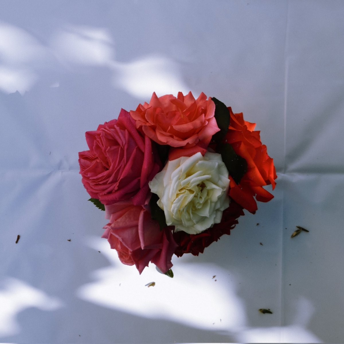 Mariage d'amour - Paul de senneville.
