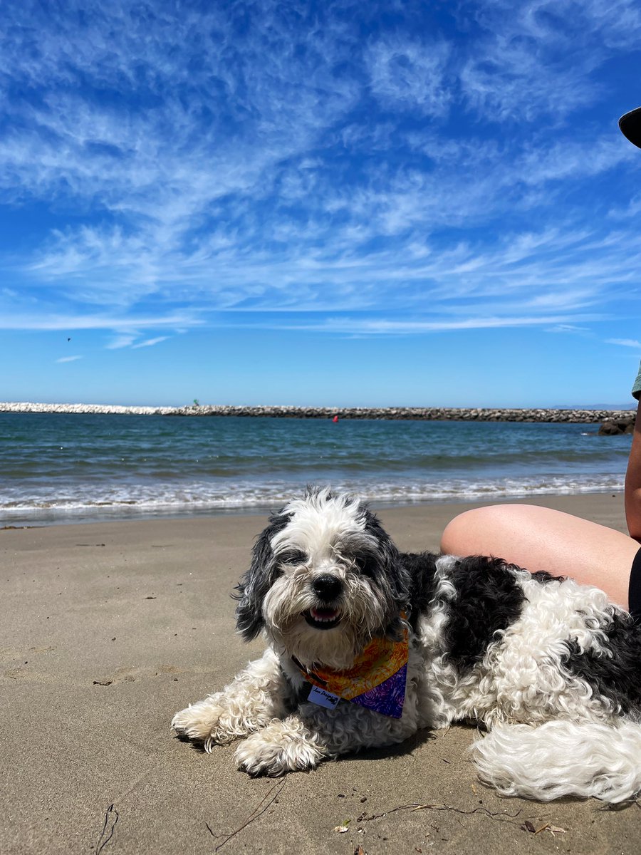 Happy #EarthDay! I am proud to call this place my home. #dogsoftwitter