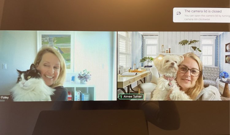 Emily Foley (She/Her) tweet media