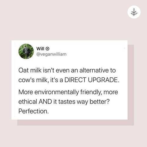 herbivore_club's tweet photo. Perfection 🥛 https://t.co/JKfl7SrDFF